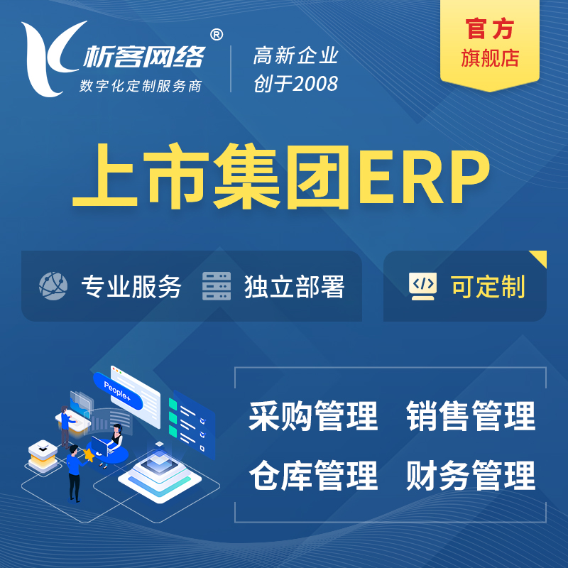 邢台上市集团ERP软件生产MES车间管理系统